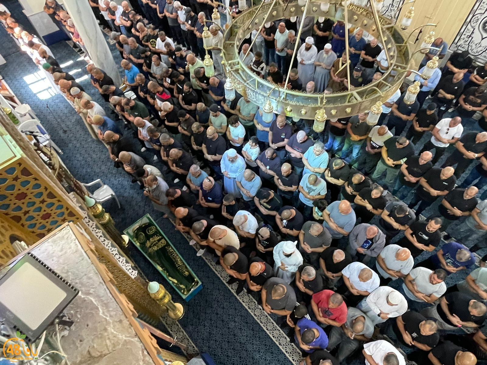 WhatsApp Image 2023-10-12 at 11.59.39 AM (1).jpeg